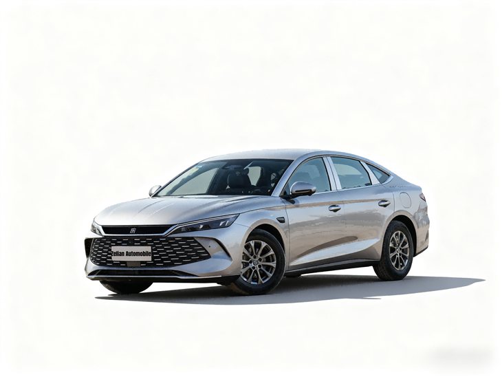 Qin L 2025 DM-i 80KM liedend model